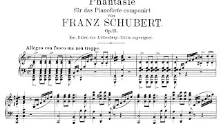 Schubert Wanderer Fantasy in C Major Op15 Lewis [upl. by Rebna]