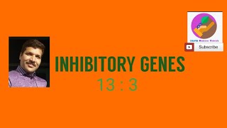 Inhibitory genes 13 3 [upl. by Ailatan127]