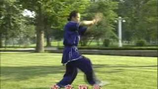 Bagua Training Program Complete Form Part 7 [upl. by Savadove]