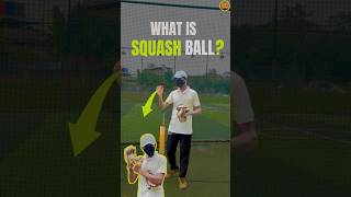 What is this squash ball🥎 century ball [upl. by Rolat]