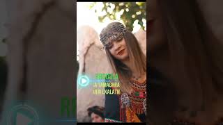 DANSE KABYLE ASSA TAMAGHRA FERROUDJA tiziculture tizi music dance kabylie musique song [upl. by Sinoda38]