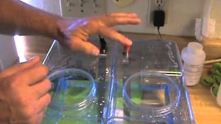 MAKE DISTILLED WATER ALKALINE  WITHOUT ELECTROLYTE  IN 15 MIN  PART 1 [upl. by Ijic]