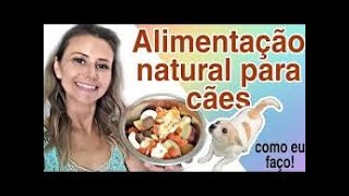 RECEITA DE ALIMENTAÇÃO NATURAL PARA CÃES [upl. by Moyer176]