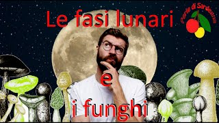 La luna influisce sulla crescita dei funghi [upl. by Mirabel789]