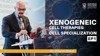 Xenogeneic Cell Therapies Cell Specialization [upl. by Heriberto]