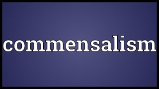 Commensalism Meaning [upl. by Hadria]