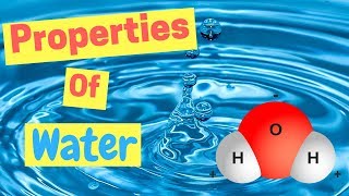 Properties of Water  Polarity  Hydrogen Bonds  Adhesion amp Cohesion [upl. by Einttirb]