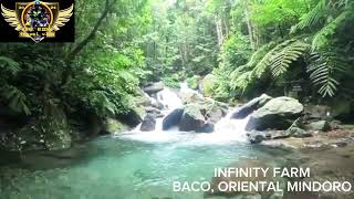 MINDORO TOUR INFINITY FARMBACO ORIENTAL MINDORO [upl. by Aihsilef901]