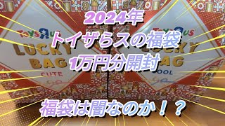 【福袋開封】謹賀新年トイザらスの福袋1万円分は闇袋なのか 買って損ないか検証 [upl. by Oiramrej]