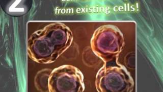 The Cell Theory Animation  Explaining the Laws of all Living Orginisms [upl. by Moon]