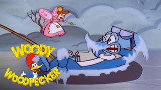 Winter Has Arrived  Full Episode  Woody Woodpecker [upl. by Teleya]