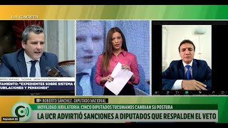 Movilidad jubilatoria La UCR advirtió sanciones a diputados que respalden el veto [upl. by Solokin]