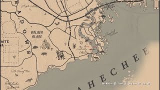 RDR2 Egrets Best Locations Exotic Collectables [upl. by Yup]