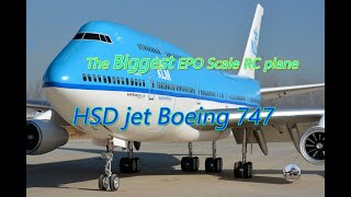 The smallest manned Boeing747 HSD RC jet KLM Boeing747 [upl. by Yanehs]