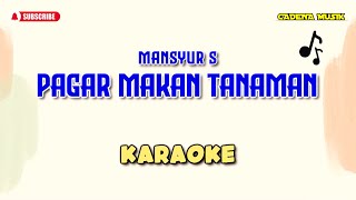 PAGAR MAKAN TANAMAN KARAOKE DANGDUT  MANSYUR S [upl. by Isaak]