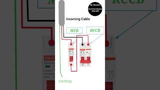 Electrical Connection of MCB amp RCCB  MCB with RCCB Connection mcbox mcbconnection shorts 🇮🇳✌️ [upl. by Danie140]