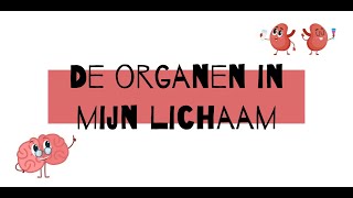 De organen in mijn lichaam [upl. by Kylander]