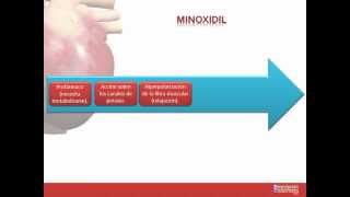 Tema 26 FARMACOLOGÍA CARDIOVASCULAR Fármacos indicados para la Hipertensión Arterial [upl. by Berhley]