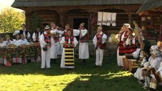 Ancuta Anghel  Băutam si iar oi bea  cantece din maramures [upl. by Litch]