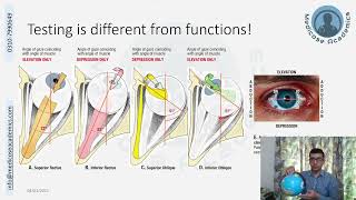 Testing Extraoccular Muscles [upl. by Namdor]