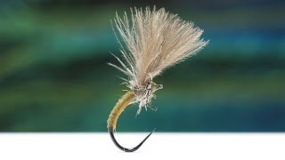 Magic Catgut CDC Emerger  How to Tie It [upl. by Sholem]