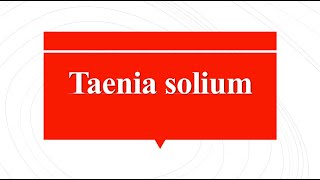 Taenia solium  Tape worm [upl. by Spalding]