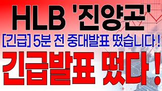 HLB  필수시청 긴급 5분전 중대발표 떴습니다  진양곤 긴급발표 떴다 [upl. by Favata]