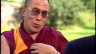 Dalai Lama kills a Mosquito [upl. by Atinek4]