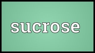 Sucrose Meaning [upl. by Paulie218]