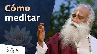 Medita con facilidad  Sadhguru [upl. by Orella858]