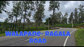 WALAPANE RAGALA ROAD  SRI LANKA visitsrilanka walapane [upl. by Bej947]