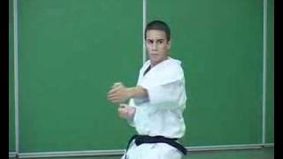 Trailer karate shotokan et artistique  Trailer by Imagin Arts [upl. by Markland]