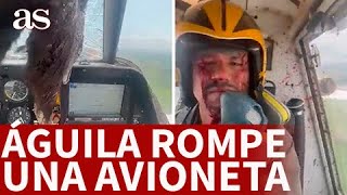 ACCIDENTE AVIÓN se ESTRELLA PÁJARO GIGANTE con un AVIÓN Aterrizaje salió bien  AS [upl. by Ettelra]