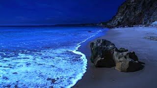 Asleep Naturally With Ocean Sounds Most Relaxing Nature Sounds For Deep Sleeping Praia Santa [upl. by Copland72]