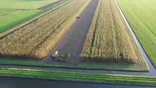 Machinaal wilgen oogsten in Hellouw door van Aalsburg BV [upl. by Ayenat]