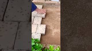 Setting Block Paving [upl. by Ahsuas]