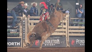 Crowd Goes Wild Silvano Alves Shows Why Hes a 3x World Champion with 8775 on Cold Creek [upl. by Assen]