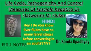 Fasciola hepatica Fasciola hepatica life cycle Flat worm Liver Fluke Fluke Liver rot [upl. by Anirak]