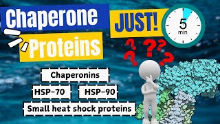 The Shocking Truth About Chaperone Proteins No One Tells You [upl. by Idid]