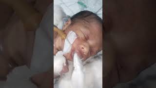 New born baby milk feeding 🍼🍼🍼 youtubeshorts trending shorts motivation viralvideo subscribe [upl. by Enenstein]