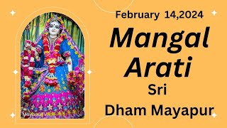 Mangal Arati Sri Dham Mayapur  February 14 2024 [upl. by Codie466]