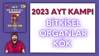 Bitkisel OrganlarKök AYT Biyoloji Kampı Konu Anlatımı 12Sınıf 2024 Tayfa [upl. by Pacifa]