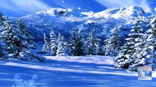 Winter Pro Live Wallpaper Free And Paid Version Available [upl. by Olnay]