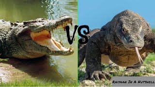 Komodo Dragon Vs Crocodile [upl. by Jac]