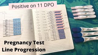 Pregnancy Test Line Progression  Positive on 11DPO [upl. by Early]