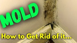 DIY Mold Remediation  What to Do If You Find MOLD and When You Should Call a Professional [upl. by Cookie]