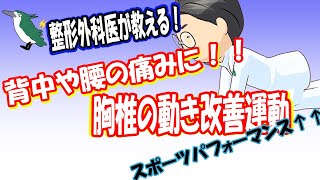 【整形外科医が教える！】背中や腰が硬い人へ 胸椎の動きを改善する運動 [upl. by Mile]