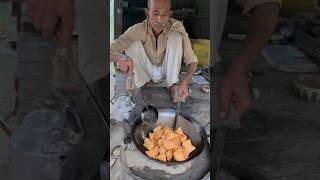 Wah Etna Testy Samosa 👌🤯 ytshorts food [upl. by Nnyleimaj]