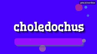 HOW TO SAY CHOLEDOCHUS choledochus [upl. by Ozan]