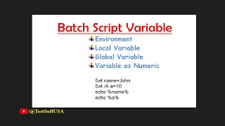 Windows Batch Script Variables explained  TestSoftUSA [upl. by Berga]